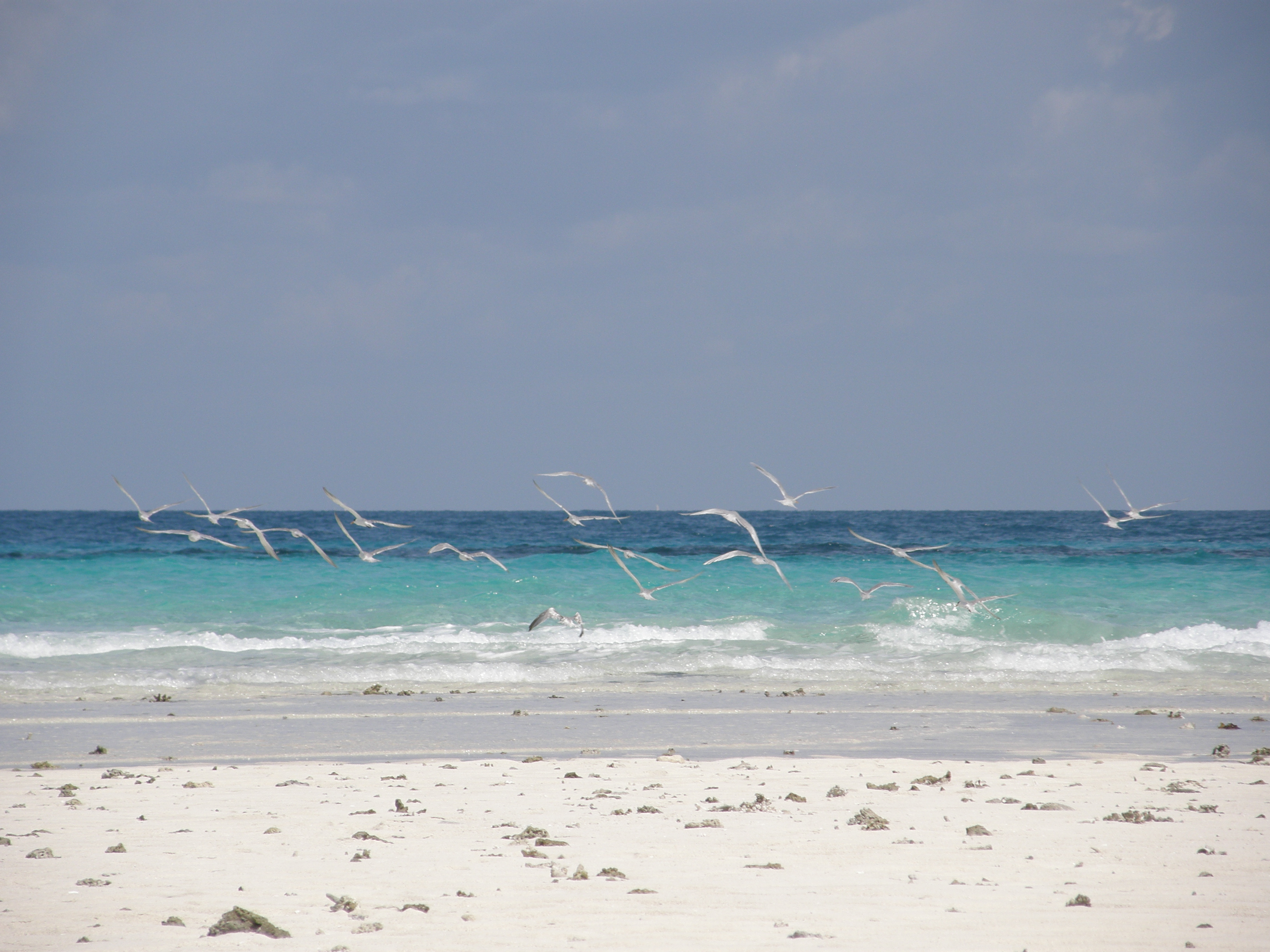 Sea.jpg